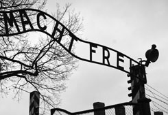 Auschwitz: topografía y lógica del exterminio