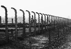 Auschwitz - 4 días de escuela / viaje de estudios